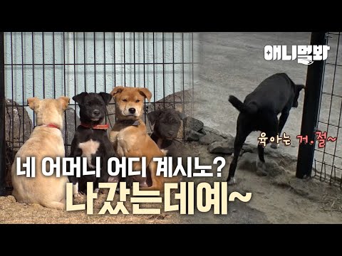 “내가 낳은 새끼지만 육아는 NO!” 역대급 Chill girl의 등장ㅣChill Girl Who Gave Birth But Not Parenting