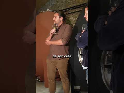 L'histoire de Pierre et Antonin !