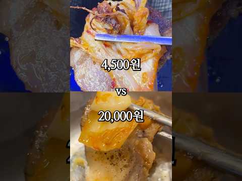 냉동삼겹살 4,500원 vs 20,000원 비교