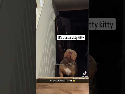 #funny