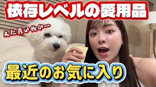 【オキニ】最近激ハマりしてしまった物、紹介させておくんなまし