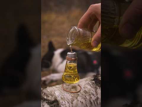 Great oil lamp #diy #outdoors  #bushcraft   #survival