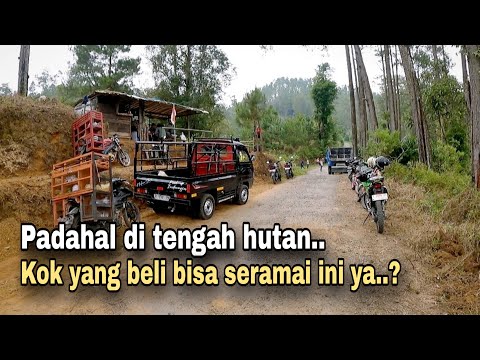 MASYAA ALLOH..!! KETEMU WARUNG KECIL DI TENGAH HUTAN || SUASANANYA PAS LAGI RAME PEMBELI.