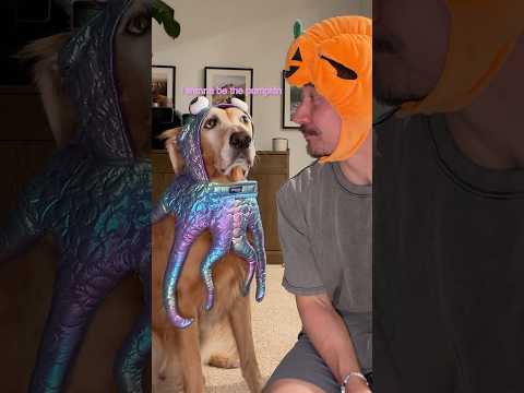 Trying on Halloween costumes with my dog
