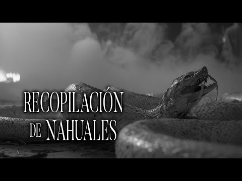 NAHUAL DEMONIACO Transforma A Mi Macota Historias De Terror - REDE