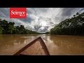 Isolated Tribes and Modern Threats