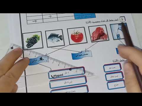 فرض المرحلة الثالثة مادة النشاط العلمي المستوى الثالث/الفرض الأول في الدورة الثانية النشاط العلمي 