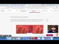 Body Systems and Their Functions