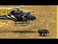 Conservation Efforts for African Wildlife