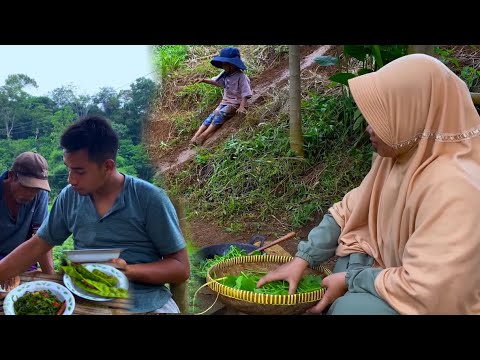 Ide liburan tahun baru | Masak- masak di kebun aja, cari genjer di sawah seru 🤩