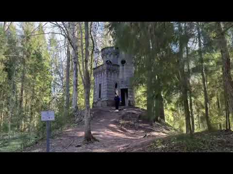 Как меняется усадьба Заветное - бетонная готика посреди леса