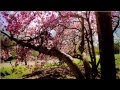 Ecosystems and Their Characteristics