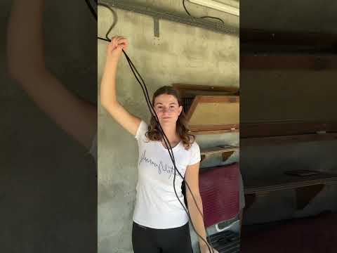 #dressage #cso #cheval #cavaliere #equitation #equestrian #tonte