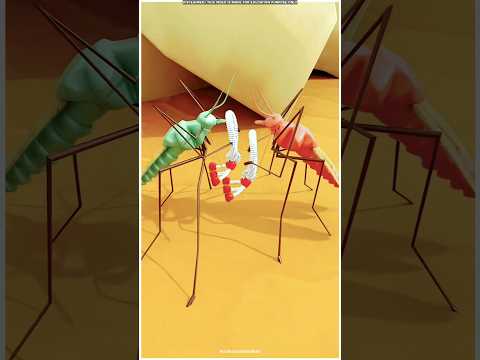 मच्छर कैसे पैदा होते है? | How Mosquitos Are Born? 😱#shorts #ytshorts