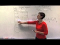 DNA Profiling and Forensic Analysis