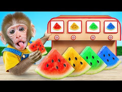 KiKi Monkey discover Four Colors Challenge to eat Rainbow Watermelon Ice Cream | KUDO ANIMAL KIKI