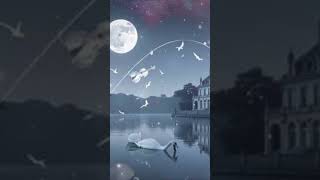 Beautiful Piano for Your Soul | 영혼을 위한 아름다운 피아노