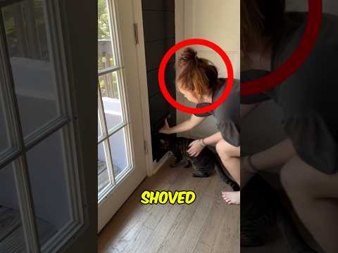 Secret home for a cat 🐈‍⬛