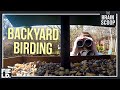 Bird Behavior and Identification