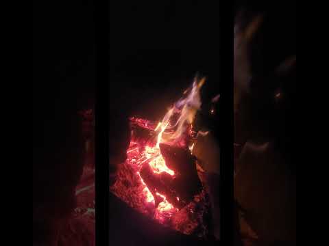 #family #farm #fresh #feast #release #storytelling #queer #community #harmony #love