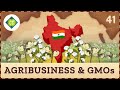 Agricultural Practices and GMOs