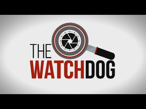 The Watchdog: 04 April 2022