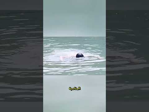 اقتحام عبقري: اثنان يخترقان المعسكر ويقضيان على الجنود! 🕵️‍♂️🔥