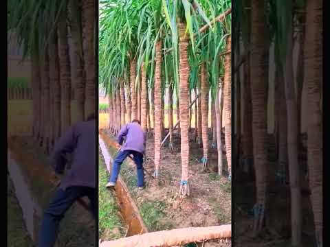 #agricultural #agriculture #farming #agro #farmlife #agricoltura  #technology #farm #food #diy