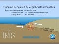 Tsunami Causes and Earthquake Effects
