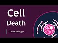 Understanding Cell Death