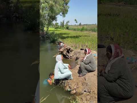 حنان بتحمي العيال في الترعه