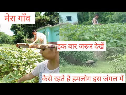 || Vlog 2 || kaisa hai mera ghar मेरा पूरा दिनचर्या देखिए 🙏