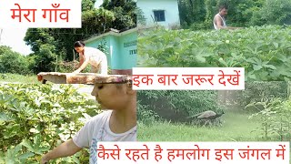 || Vlog 2 || kaisa hai mera ghar मेरा पूरा दिनचर्या देखिए 🙏