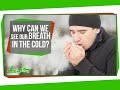 Understanding Breath Condensation