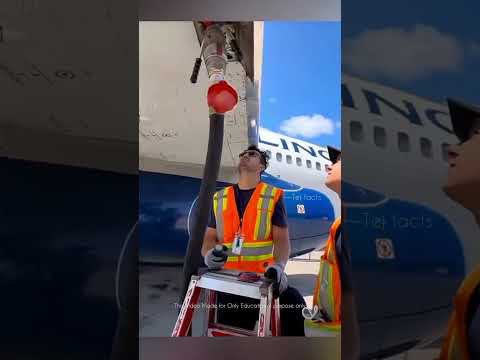 why pilot do these #telugufacts #factsintelugu #amazingfacts #shorts #tejfacts