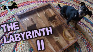 Ripley's Labyrinth II Dog Puzzle Game
