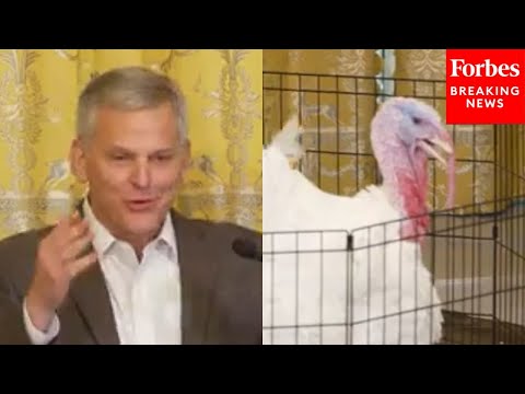 YouTube video thumbnail: North Carolina Gov. Josh Stein Pardons Thanksgiving Turkeys Krispy And Kreme