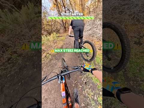 MAXIMUM STEEZ REACHED! #mtb