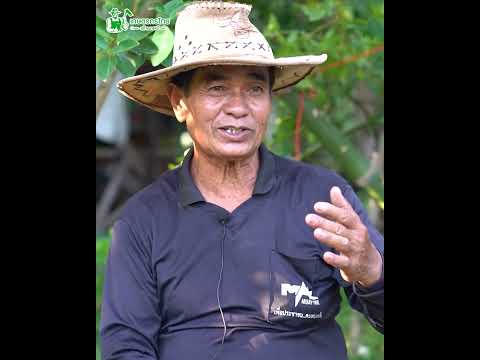 ปลูกผักคันจองขาย 200-300 กำ/วัน ปลูกง่าย  สร้างรายได้ 6,000 บาท/เดือน
