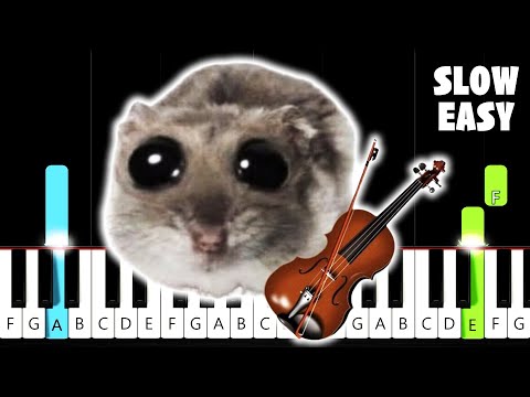 Sad Hamster Violin Meme - SLOW EASY Piano Tutorial