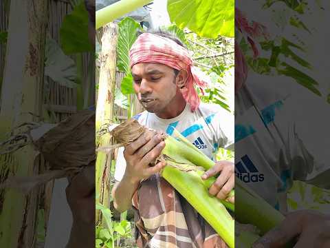 কাঁচা কচু সেই স্বাদ ☺️