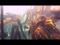 Kelp Forest Ecosystem Exploration