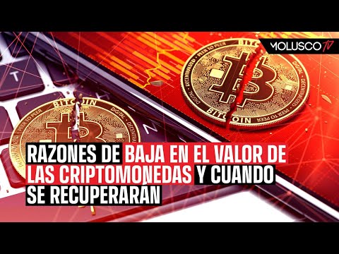 Tenemos las razones de la baja de las criptomonedas y cuando se recuperarán