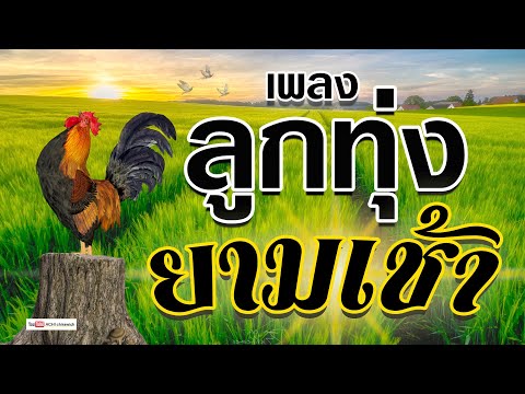 ลูกทุ่ง ฟังสบาย ยามเช้า - คุณภาพเสียงเยี่ยม #มาแรง