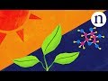 Artificial Photosynthesis and Its Impact