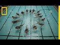 Swimming and Aging: A Journey of Freedom and Discovery