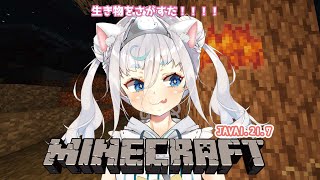 【#minecraft/睡眠導入 BGM 】白いキツネ探して捕まえてみるだ！！　 JAVA1.21.7/作業用/チル雑談【＃マイクラ ＃新人