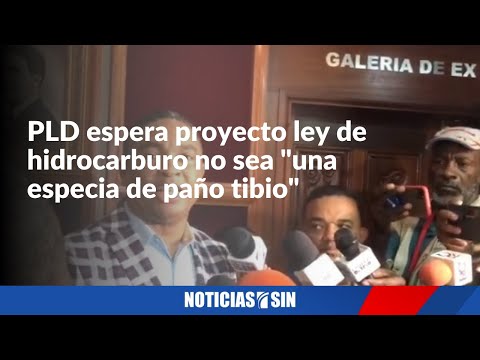 PLD espera proyecto ley hidrocarburos no sea "paño tibio"