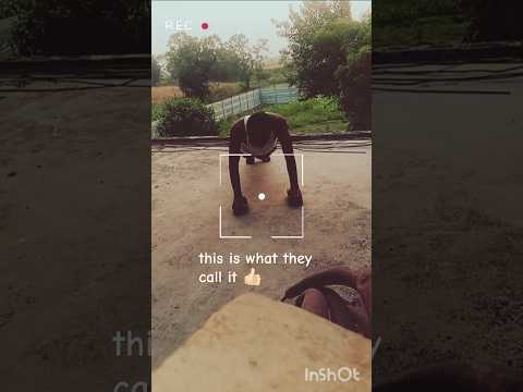 push ups practice ๐ช๐ป Gym desi #fitness #tranding #viralvideo #desi #gym#pushups