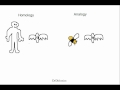 Homologous and Analogous Structures
